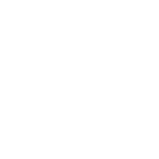 Ico1