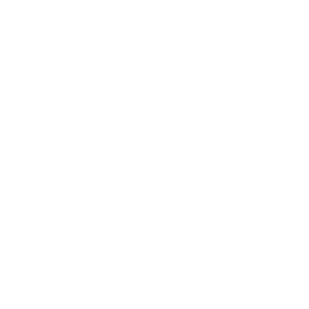 Ico2