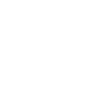 Ico3
