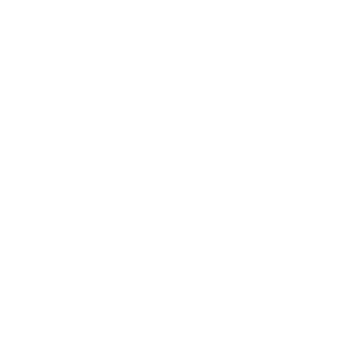 Icon33