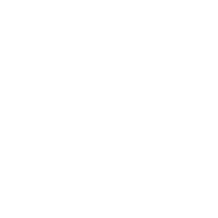 Icon55