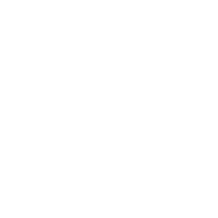 Icon66