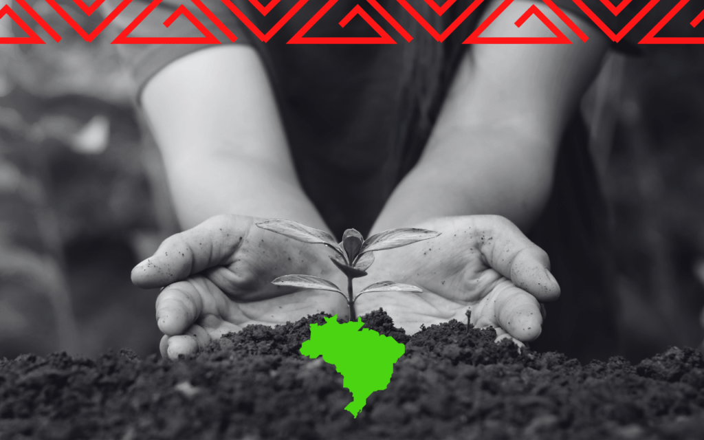 Uma história bem contada sobre o movimento ambientalista brasileiro 1 Capa Materia Revista Pluriverso 1280X800 10